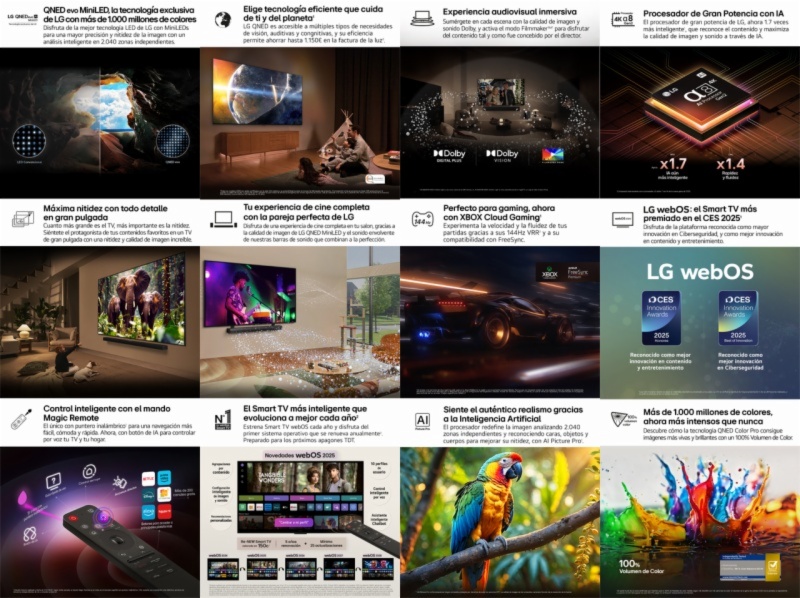 TELEVISOR LED LG 50QNED84A6C