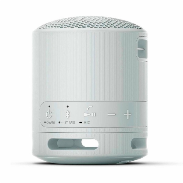 ALTAVOCES SONY SRSXB100H.CE7