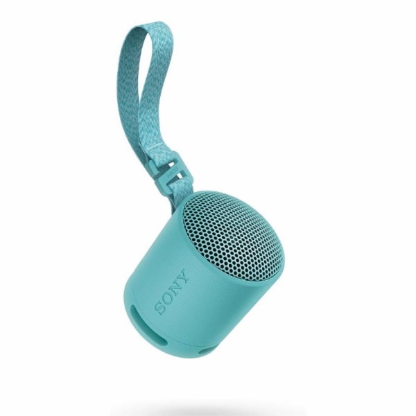 ALTAVOCES SONY SRSXB100L.CE7