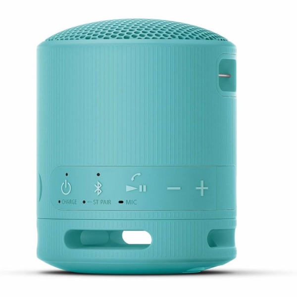 ALTAVOCES SONY SRSXB100L.CE7