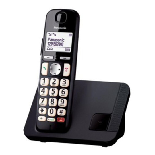 TELEFONO INALAMBRICO PANASONIC KX-TGE250SPB