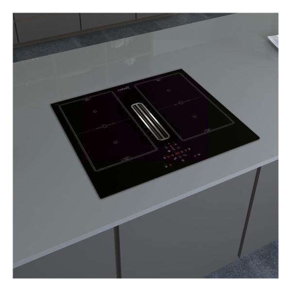 INDUCCION CATA AS 600 C/ EXTRACTOR