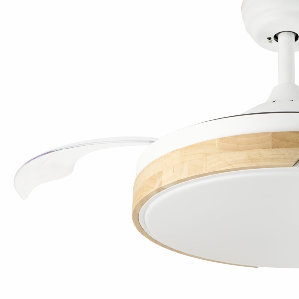 VENTILADOR ORBEGOZO CP 136105