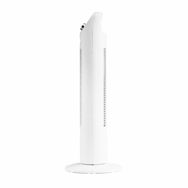 VENTILADOR ORBEGOZO TW 0600