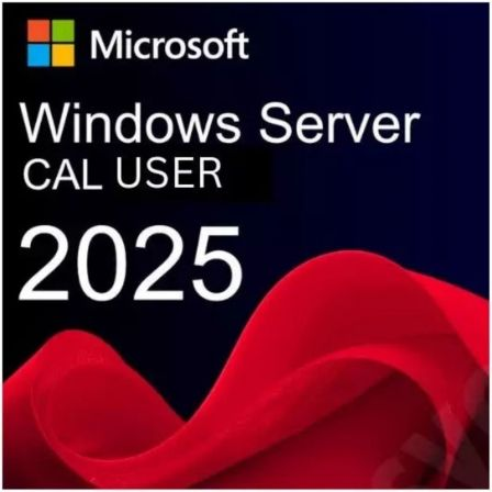 PROGRAMAS MICROSOFT WINDOWS SERVER 20255