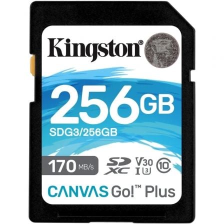 TARJETA MEMORIA KINGSTON SDG3/256GB