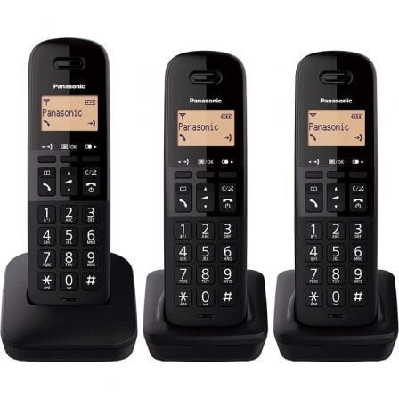 TELEFONO INALAM PANASONIC GM KX-TGB613SPB