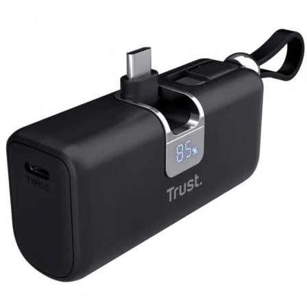 POWER BANK TRUST 26104 PACTO