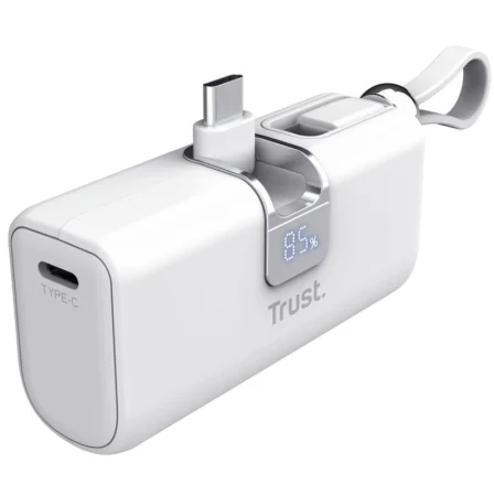 POWER BANK TRUST 26105 PACTO